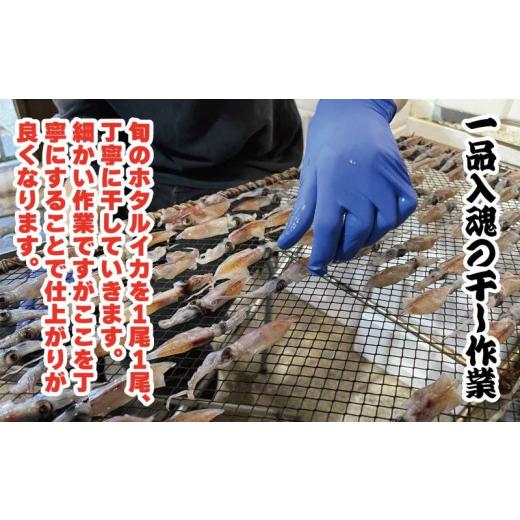 ふるさと納税 福井県 福井市 越前産 ほたるいか 素干し 50gｘ5パック 【ホタルイカ いか イカ 海鮮 干物 添加物不使用 無添加 珍味 ひもの おつまみ 熨斗 国産…