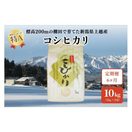 ふるさと納税 新潟県 上越市 6ヶ月連続定期便発送｜新潟県上越市中郷産 従来種コシヒカリ精米10kg（5kg×2袋）×全6回