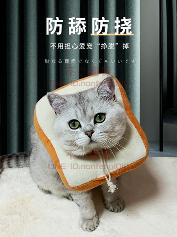 伊麗莎白圈 寵物貓咪狗狗幼貓防舔圈頭套 項圈伊莉莎白圈小貓貓脖圈【不二雜貨】