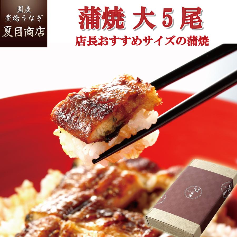 うなぎ 鰻 国産 プレゼント ギフト 蒲焼き 155-167g×5尾 大盛5人前 化粧箱 送料無料 お歳暮 贈り物 誕生日 内祝い