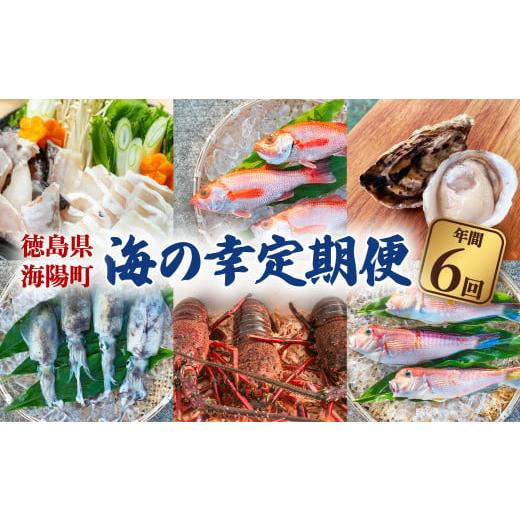 ふるさと納税 徳島県 海陽町 海陽町の『海の幸』定期便  クエ クエ鍋 牡蠣 アマダイノドグロ アオリイカ 伊勢海老