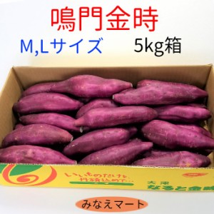 なると金時  送料無料 ５Kg箱入り Ｍ,Ｌサイズ 鳴門金時 さつまいも サツマイモ 芋 ホクホク 贈り物 ギフト スイートポテト 焼き芋 蒸し