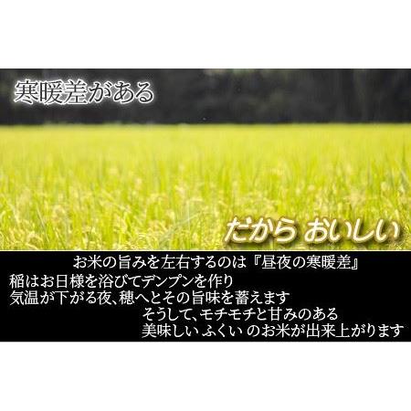 ふるさと納税 福井県産 いちほまれ ＆ コシヒカリ 計10kg 福井県坂井市