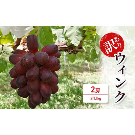 ふるさと納税 訳あり ウィンク2房（約1.1kg） 長野県生坂村