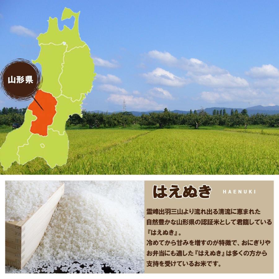 令和5年産 新米 送料無料 山形県産 特別栽培米 はえぬき 白米 5kg 五キロ お米 おこめ 白米 はくまい