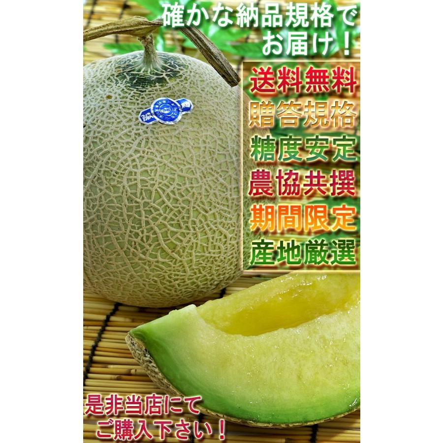 アールスメロン 約4kg 2玉入り 茨城県・熊本県産 贈答規格 大玉限定 メロンの出荷量日本一！茨城の高級メロンをお届け