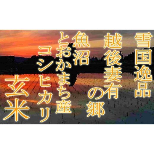 ふるさと納税 新潟県 十日町市 ●定期便・玄米● 越後妻有の郷 魚沼十日町産コシヒカリ