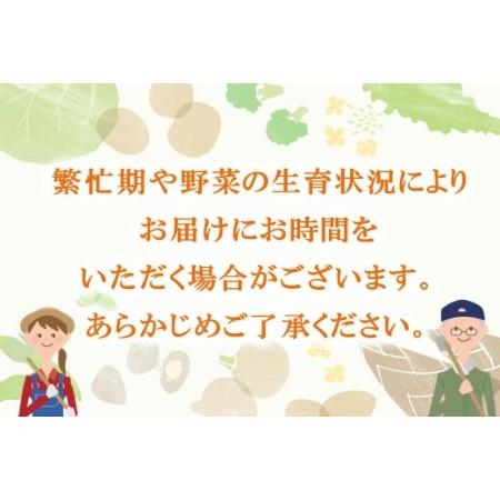 ふるさと納税 年間定期便48回 イタリア野菜セットショート 7品 (H078128) 佐賀県神埼市