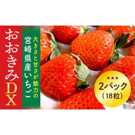 ふるさと納税 宮崎県産 イチゴ おおきみDX 2パック(18粒) いちご 苺 果物 期間・数量限定 宮崎県宮崎市