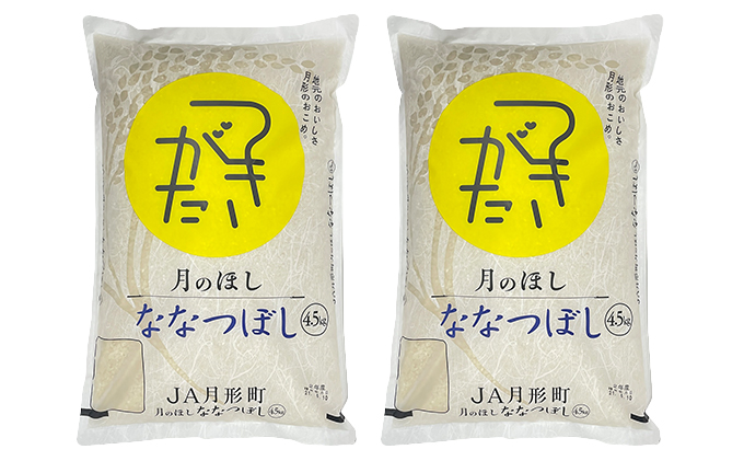 北海道 定期便 12ヵ月連続12回 令和5年産 ななつぼし 4.5kg×2袋 特A 精米 米 白米 ご飯 お米 ごはん 国産 ブランド米 おにぎり ふっくら 常温 お取り寄せ 産地直送 送料無料