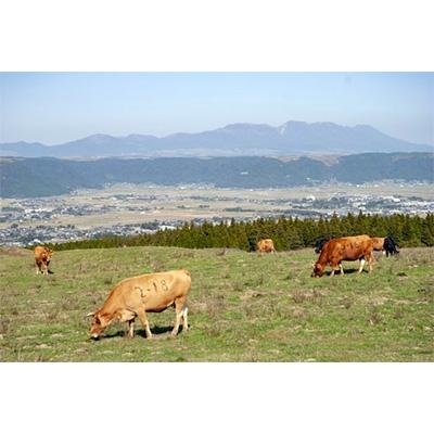 ふるさと納税 水俣市 熊本県産和牛　くまもとあか牛　モモステーキ 100g×3枚