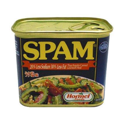 SPAM（スパム）うす塩タイプ24缶セット