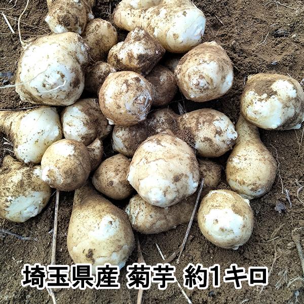 菊芋 生 約1キロ お試し 無農薬 国産 土付き きくいも 1kg キクイモ