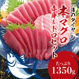 本マグロ（養殖）トロ＆赤身セット 1350g  高級 クロマグロ 中トロ 中とろ  まぐろ マグロ 鮪 刺身 赤身 柵 じゃばらまぐろ 本マグロ 本鮪