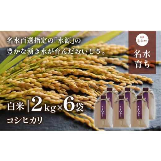 ふるさと納税 熊本県 産山村 ＜令和5年新米予約＞熊本県阿蘇うぶやま産こしひかり2kg×6袋