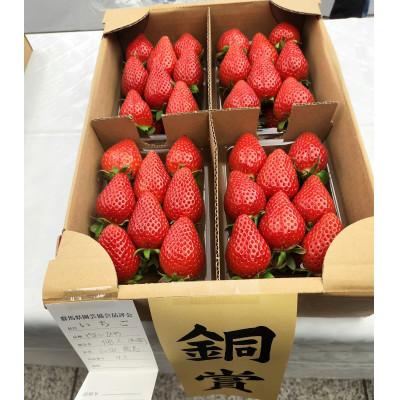 ふるさと納税 前橋市 群馬県いちご品評会入賞やよいひめ約400g×6パック　こだわりの栽培で極めた味、コク、香り、甘さ