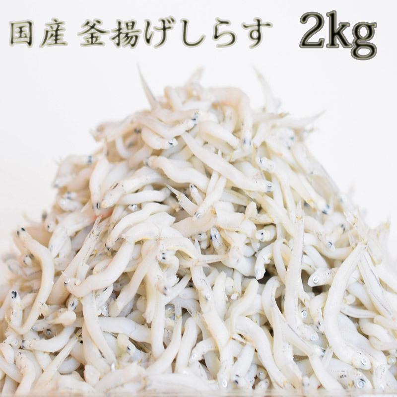 新物 しらす 2Kg シラス 国産 釜揚げしらす 2Kg 送料無料 お試し 海産物