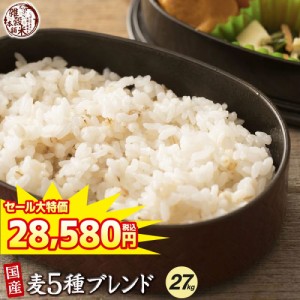 ＼ セール ／ 雑穀 雑穀米 国産 麦５種ブレンド 27kg(450g×60袋) [丸麦 押麦 はだか麦 もち麦 はと麦] 無添加 無着色 送料無料 ダイエッ