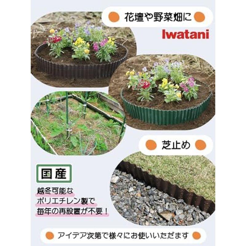 岩谷マテリアル 国産 ガーデンウォール ブラウン 幅30cm×8m巻 ポリエチレン 園芸用 菜園用 シート 耐寒性 越冬可 水稲 水止め 野