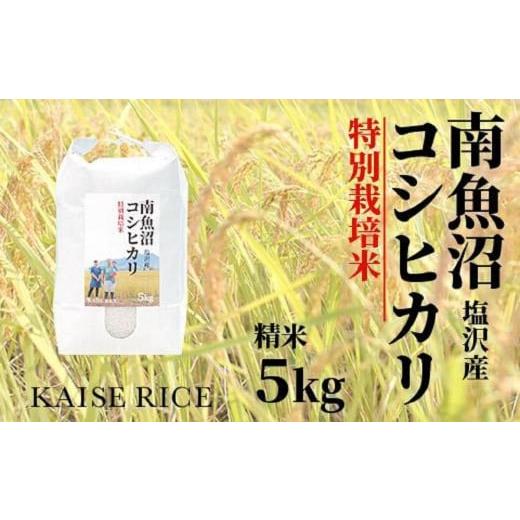 ふるさと納税 新潟県 南魚沼市 南魚沼産塩沢コシヒカリ（特別栽培米８割減農薬）精米５ｋｇ×全６回