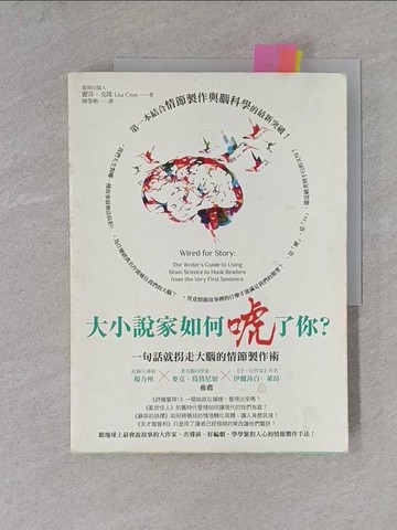 【書寶二手書T1／藝術_ZDB】大小說家如何唬了你?_麗莎．克隆