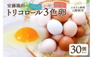 ミシュランも選ぶ高級卵セット（30個）