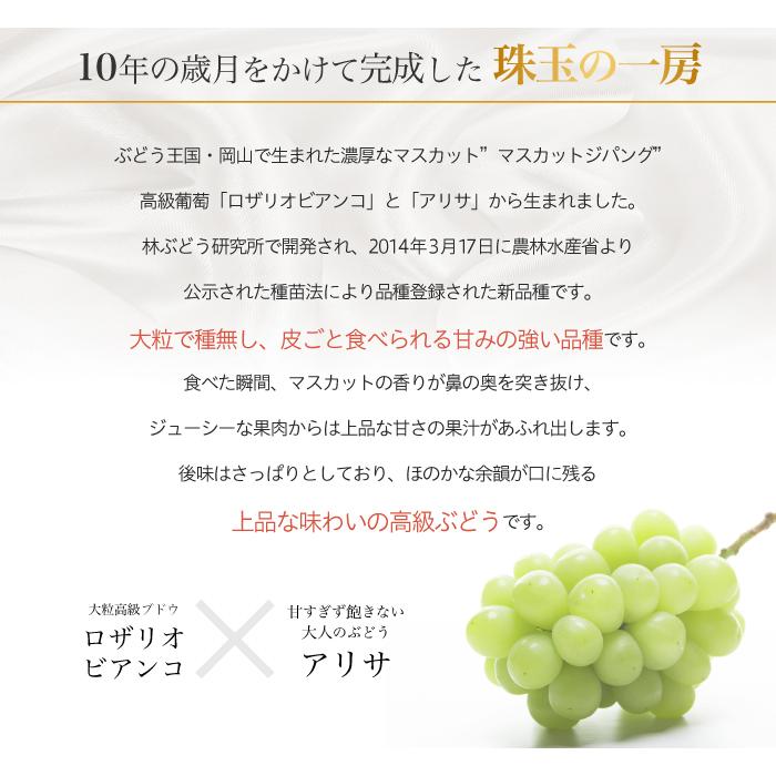 ぶどう マスカットジパング 赤秀 約800g×１房 岡山県産 JAおかやま ぶどう 葡萄 ブドウ ギフト お取り寄せ