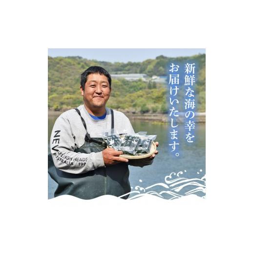 ふるさと納税 鹿児島県 長島町 ＜先行予約受付中！2024年2月頃から順次発送予定＞鹿児島県長島町産 乾燥あおさ(100g)iso-5611