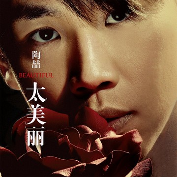 {保固一年 可打統編}官方正版 陶喆第五張專輯 太美麗 今天你要嫁給我 車載CD唱片碟