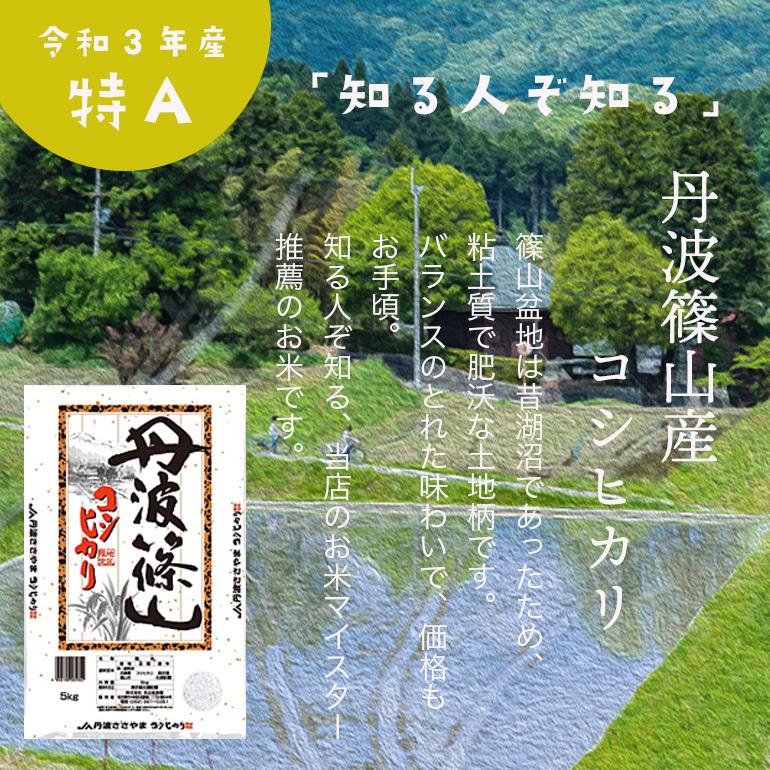 コシヒカリ 米 10kg 白米 丹波篠山産 送料無料 一宮精米 5kg×2 令和5年