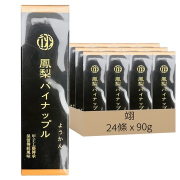 翊 日式羊羹 - 傳統風味 獨立包裝方便攜帶  清爽鳳梨  90g  24條