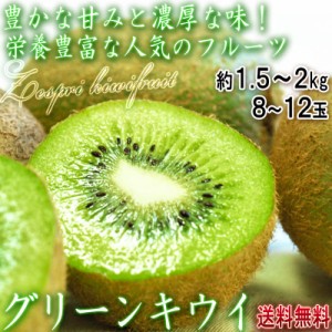 特大グリーンキウイ 約1.5～2kg 8～12玉 ニュージーランド産 ゼスプリキウイ 世界有数のキウイ商社が誇るブランドキウイ