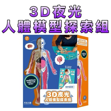 ⭐️新書現貨⭐️［童趣店鋪]  禾流文創 3D 夜光人體模型探索組