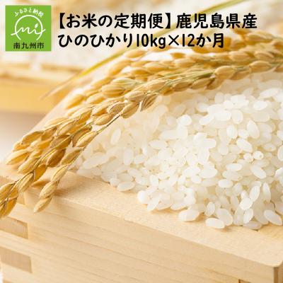 ふるさと納税 南九州市 鹿児島県産米ひのひかり10kg定期便