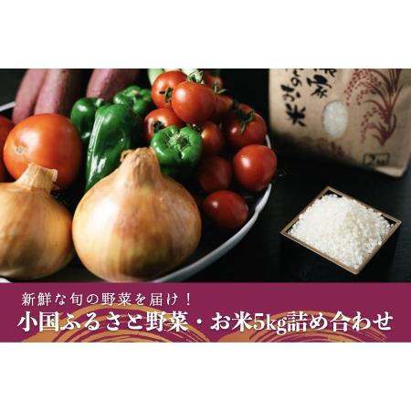 ふるさと納税 薬味野菜の里小国ふるさと野菜の詰め合わせ（お米5ｋｇ） 熊本県小国町