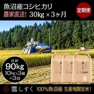 ふるさと納税 定期便！魚沼産コシヒカリ毎月30kg×3回 新潟県十日町市