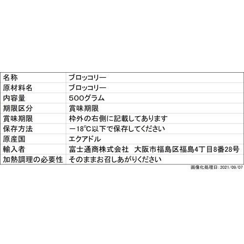 冷凍野菜 富士通商 大容量自然解凍できるブロッコリー 500g×20個 ブロッコリー おかず まとめ買い 業務用 冷凍