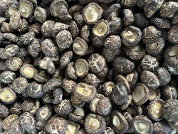 A級鈕扣花菇厚肉香菇 冠頂嚴選日曬乾菇