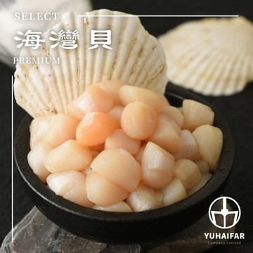 海灣貝﹝冷凍﹞