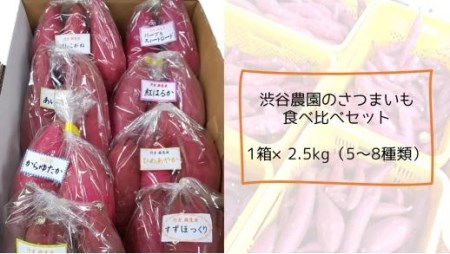 BZ-16　2023年度産いろんなさつまいも食べ比べセット　約2.5kg（5～8品種）