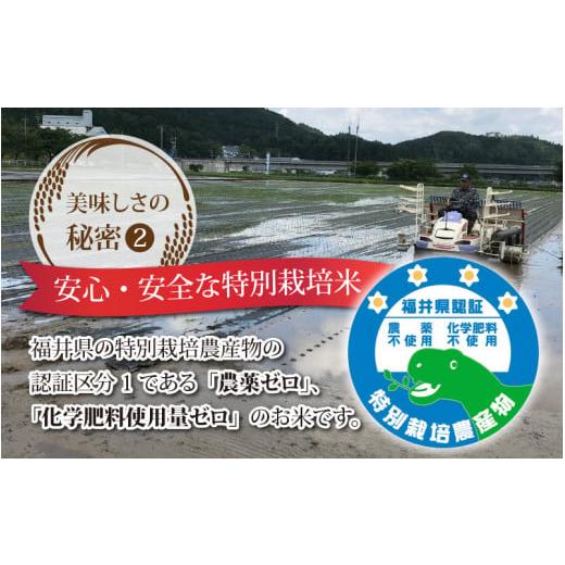 ふるさと納税 福井県 永平寺町  令和5年度産 永平寺町産 農薬不使用・化学肥料不使用 特別栽培米 コシヒカリ 10kg×6ヶ月…