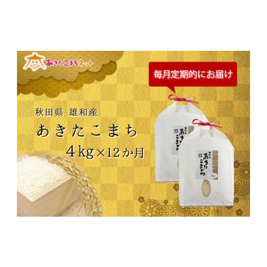 ふるさと納税 秋田県 秋田市 秋田市雄和産あきたこまち清流米・1年間（4kg×12か月）