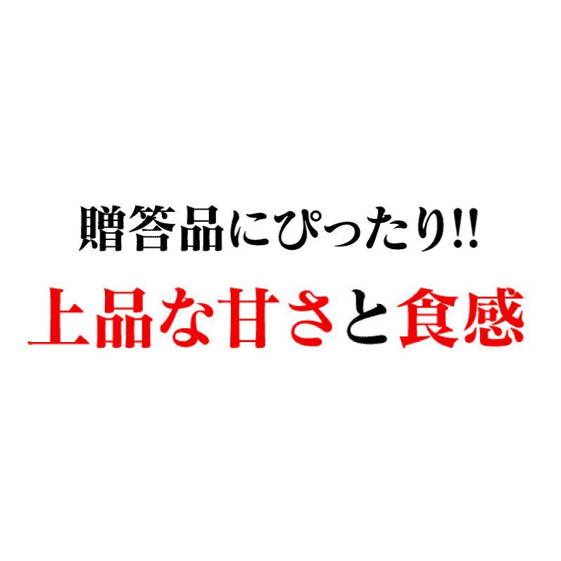 佐賀産 白いちご 淡雪 あわゆき 2パック ＜12月中旬より出荷予定＞  イチゴ 苺 果物 フルーツ 農家直送 産地直送 大嶌屋（おおしまや）