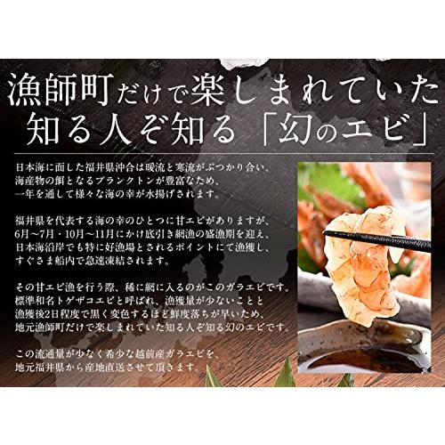 港ダイニングしおそう がらえび 500g（約35尾入り） 越前産 ガラエビ えび エビ 海老 冷凍 冷凍えび 冷凍エビ 冷凍海老 国産 お刺身 贈り物