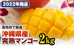 直売所で厳選　沖縄県産「完熟マンゴー」2kg