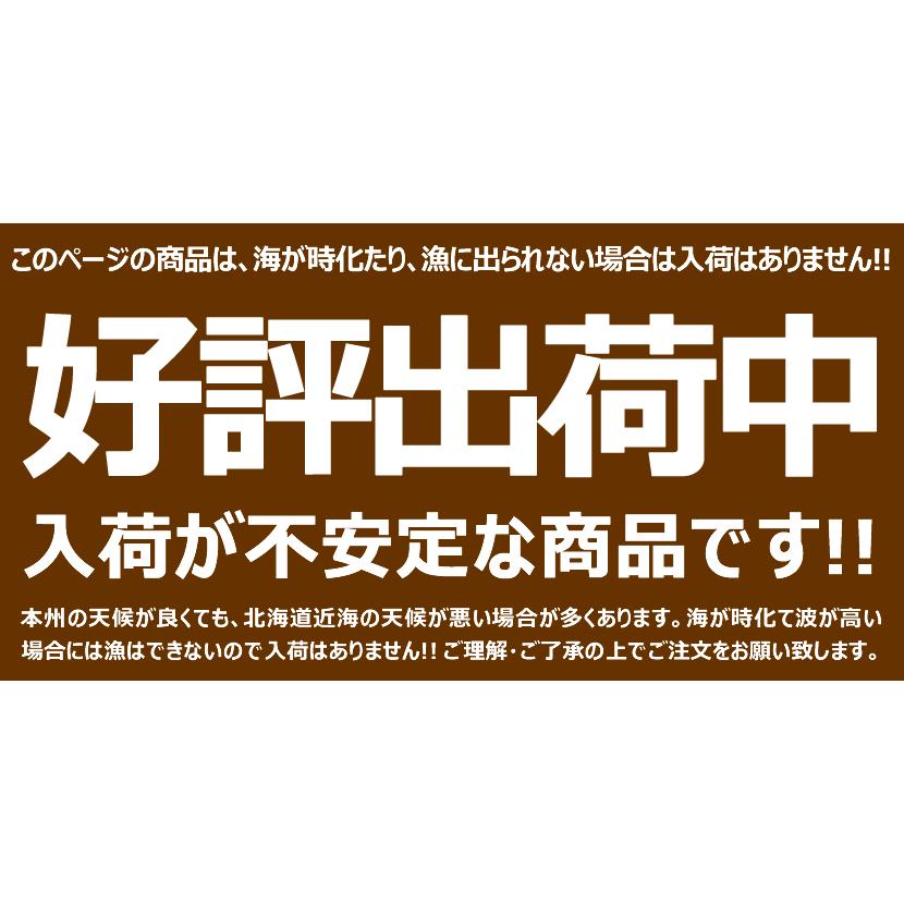 北方四島産 塩水ウニ 生ウニ バフンウニ 100g (100g×1P 冷蔵) 塩水うに 蝦夷バフンウニ ウニ丼 ギフト 北海道 グルメ 送料無料 お取り寄せ