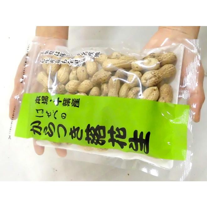 千葉産 ”からつき落花生” 110g×12袋 はせべ 国産 ピーナッツ 送料無料