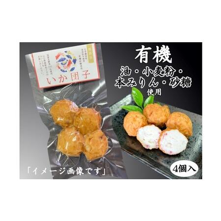 ふるさと納税 無添加　焼き抜き蒲鉾揚げ蒲鉾の詰合せ 山口県萩市