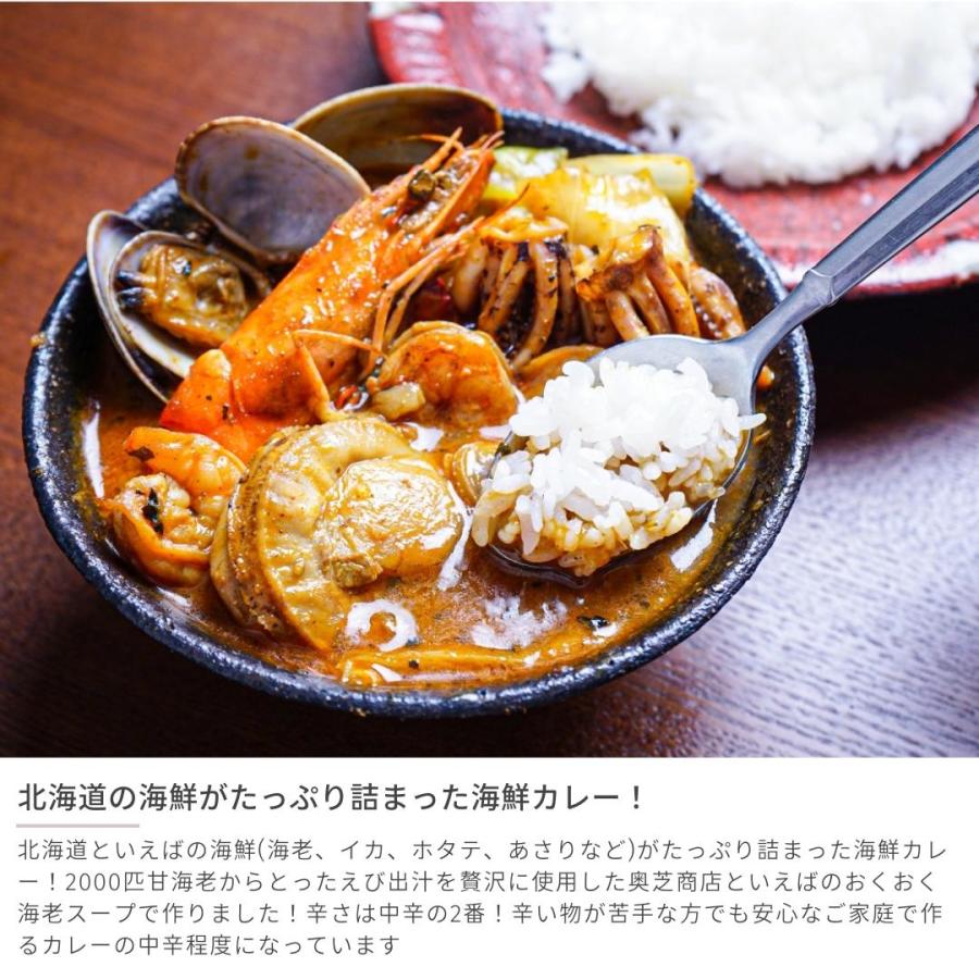 北海道の恵み！竜宮の賄い海鮮スープカレー 500g×2 冷凍 レトルト スープカレー ギフト 札幌市 奥芝商店 産地直送 送料無料