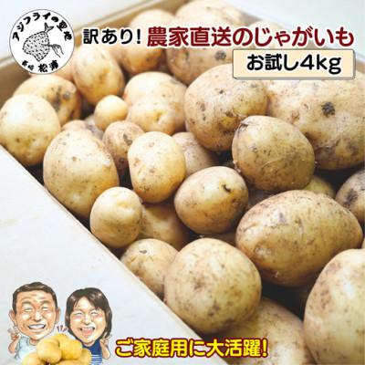 ふるさと納税 松浦市 訳あり!　農家直送のじゃがいも　お試し4kg